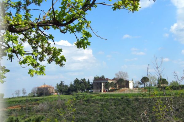 Incorniciato dalla natura
